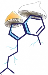 Shroom Hub